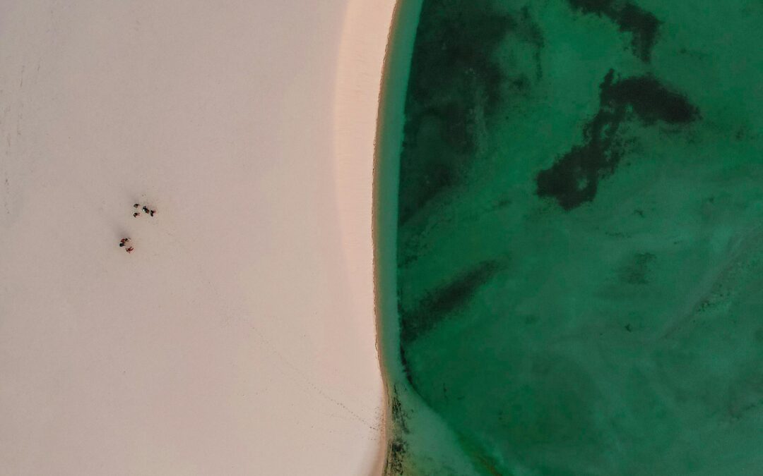 Mollit non ipsum incididunt nisi nulla cupidatat deserunt nostrud nisi esse.